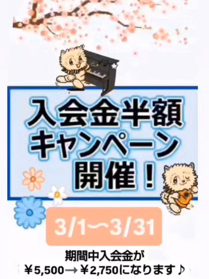【入会金半額キャンペーン🙌】