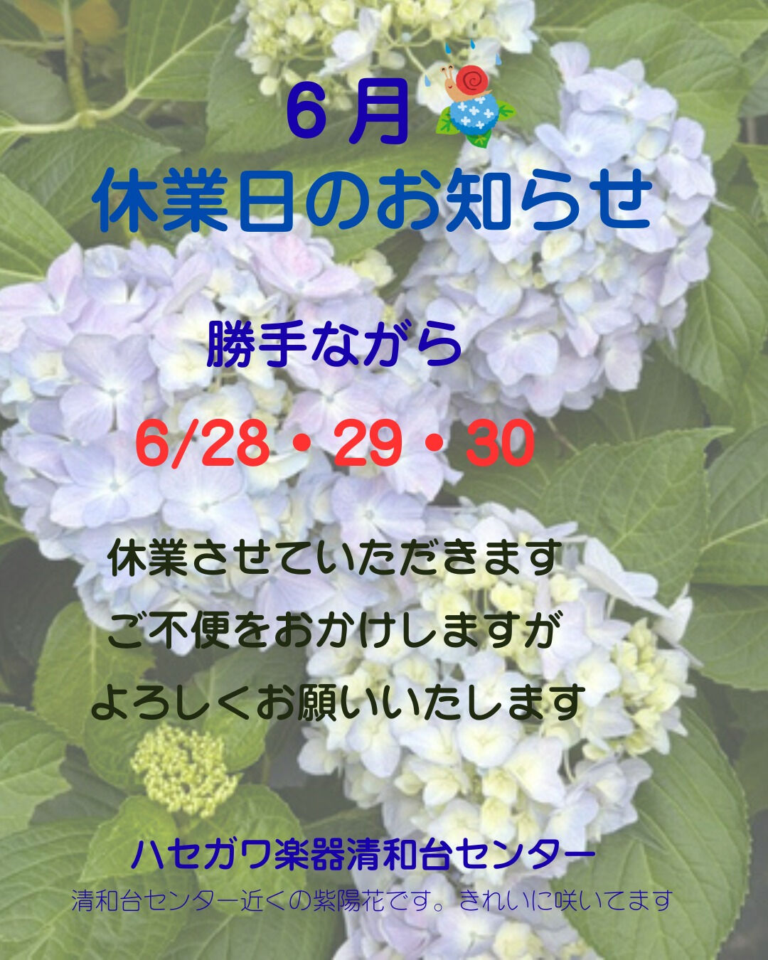 こんにちは！