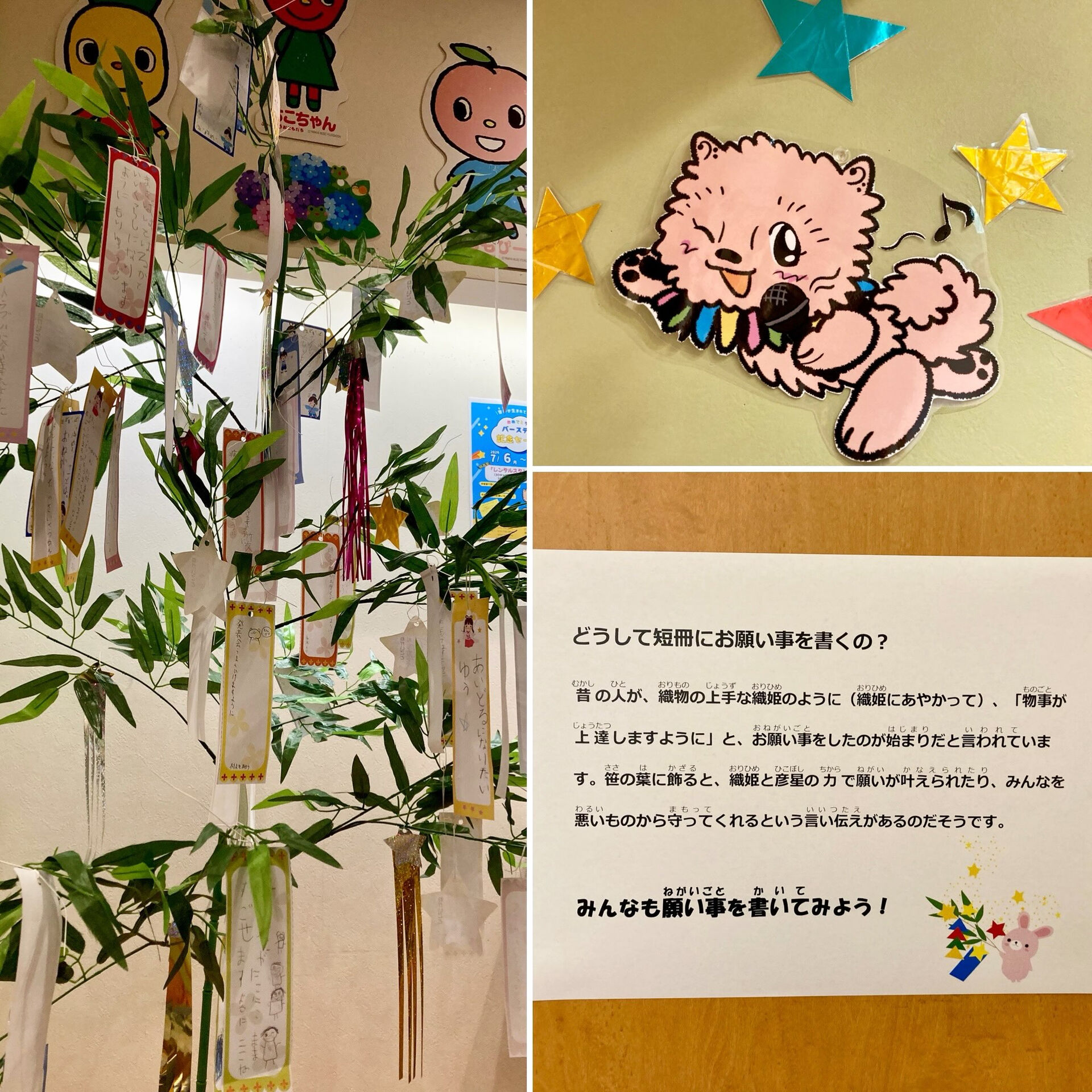 七夕の季節が近づいてきましたね☆彡